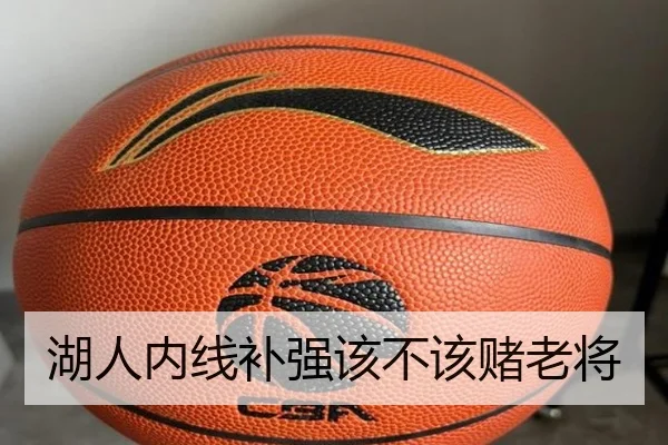 湖人内线补强该不该赌老将